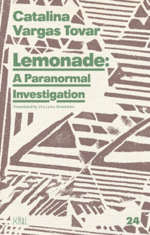 Lemonade: A Paranormal Investigation - Catalina Vargas Tovar