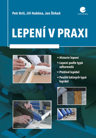 Lepení v praxi - Jiří Kuběna,Petr Briš,Jan Štrkaň