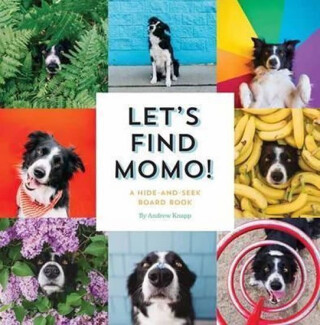Let''s Find Momo! - Andrew Knapp