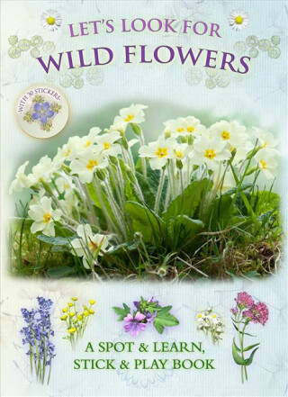 Let's Look for Wild Flowers - Andrea Pinningtonová,Caz Buckingham
