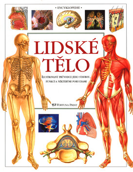 Lidské tělo - ilustrovaný průvodce - Tony Smith