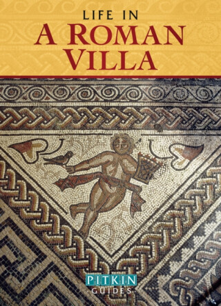 Life in a Roman Villa - Brian Williams,Williams Brenda