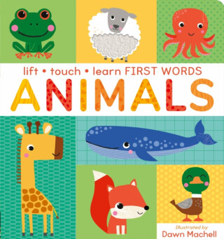 Lift, Touch Learn First Words: Animals - Villetta Craven