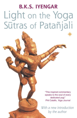 Kniha Light on the Yoga Sutras of Patanjali