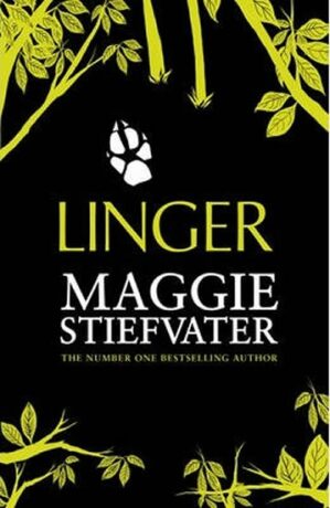 Linger - Maggie Stiefvaterová