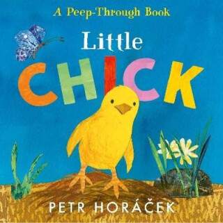 Little Chick - Molaová Astrid,Petr Horáček