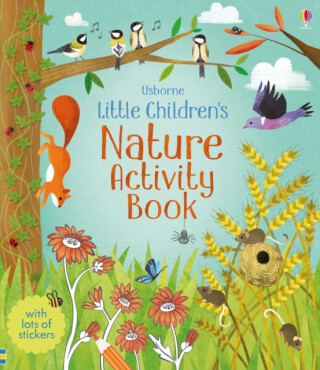 Little Children's Nature Activity Book - Rebecca Gilpin