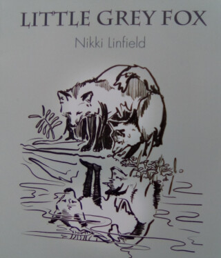 Little Grey Fox - Nikki Linfield
