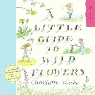 A Little Guide To Wild Flowers - Voake Charlotte