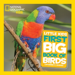 Little Kids First Big Book of Birds - Catherine D. Hughes,National National Geographic Kids