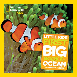 Little Kids First Big Book of The Ocean - Catherine D. Hughes,National National Geographic Kids