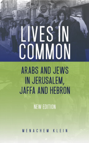 Lives in Common - Menachem Klein