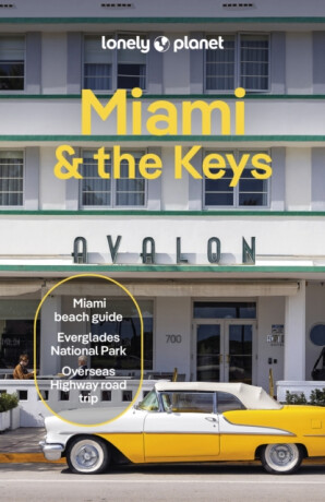 Lonely Planet Miami & the Keys - Lonely Planet,Michael Wardian,Jesse Scott,Terry Ward