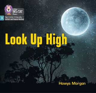 Look Up High - Morgan Hawys