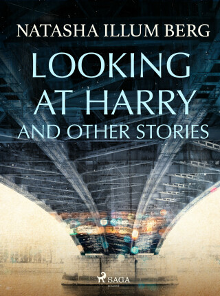 Looking at Harry and Other Stories - Natasha Illum Berg