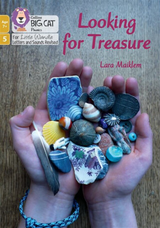 Looking for Treasure - Lara Maiklem