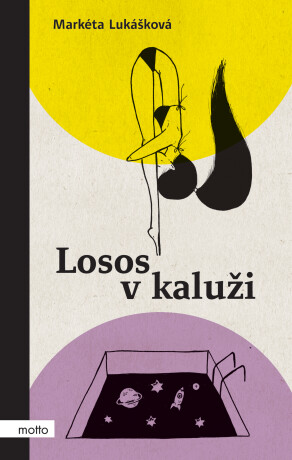 Losos v kaluži - Markéta Lukášková