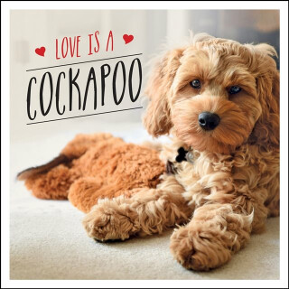 Love is a Cockapoo - Ellis Charlie