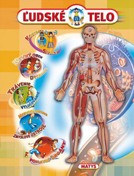 Ľudské telo - 