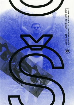 Ludvík Šváb - Uklidit po mé smrti - Horníček Jiří,Ludvík Šváb,Evženie Brabcová