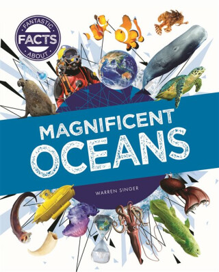 Magnificent Oceans - Warren Singer