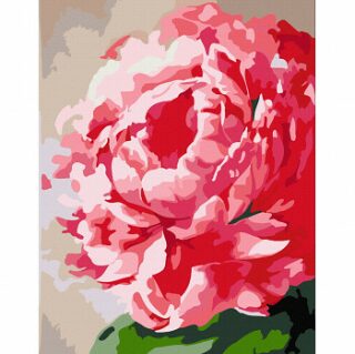 Malování podle čísel Rosa – 652 květina - 
