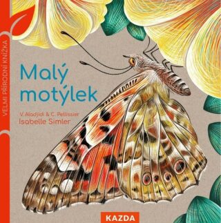 Malý motýlek - Pellissier Caroline,Aladjidi Virginie,Isabelle Simler