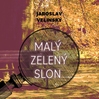 Malý zelený slon - Jaroslav Velinský