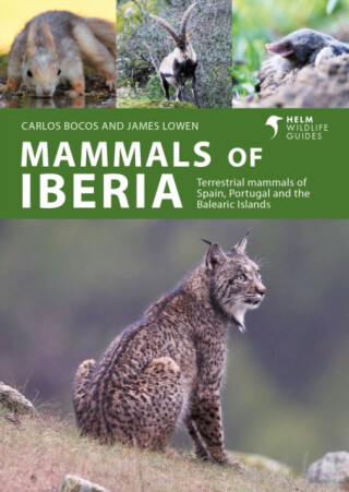 Mammals of Iberia - James Lowen,Carlos Bocos Gonzalez