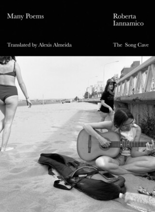 Many Poems - Roberta Iannamico