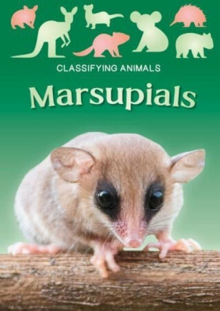 Marsupials - Madeline Tyler