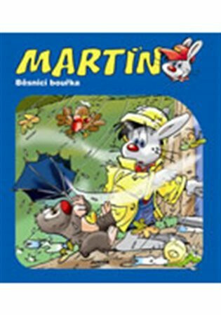 Martin - běsnící bouřka - Daniela Řezníčková,Jan Ivens