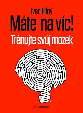 Máte na víc! Trénujte svůj mozek - Ivan Pilný