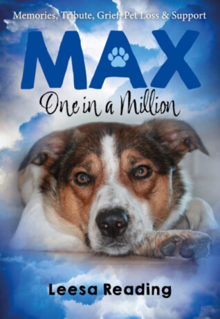 Max: One in a Million - Leesa Reading