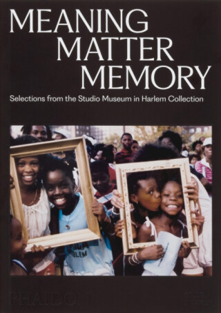 Meaning Matter Memory - Connie H. Choi,Thelma Golden,Mary Schmidt Campbell,Lowery Stokes Sims,Kinshasha Holman-Conwill