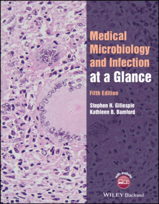 Medical Microbiology and Infection at a Glance - Kathleen B.  Bamford,Stephen H.  Gillespie