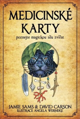 Medicinské karty (Kniha a 52 karet) - David Carson,Jamie Sams,Angela Werneke