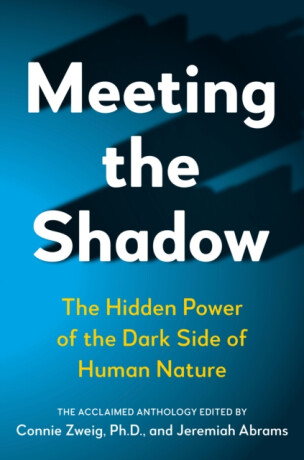 Meeting the Shadow - Connie Zweig