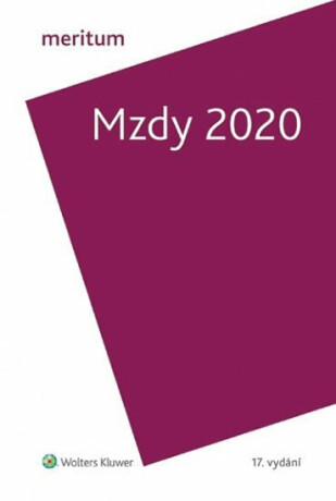 Meritum Mzdy 2020 - kolektiv autorů