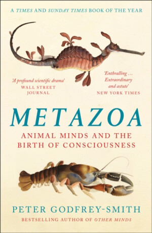 Metazoa - Peter Godfrey-Smith