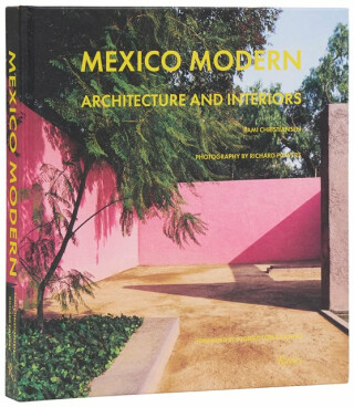 Mexico Modern - Richard Powers,Tami Christiansen