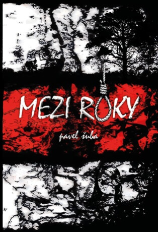 Mezi roky - Pavel Šuba