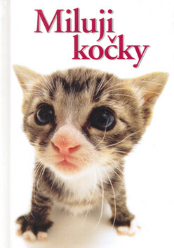 Miluji kočky - 