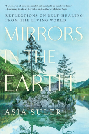 Mirrors in the Earth - Asia Suler