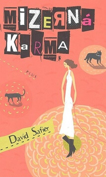 Mizerná karma - David Safier