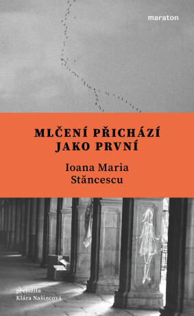 Mlčení přichází jako první - Ioana Maria Stăncescu