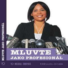 Mluvte jako profesionál - Dan Miller