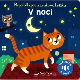 Moja blikajúca zvuková knižka V noci - 