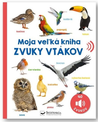 Moja veľká kniha Zvuky vtákov - 