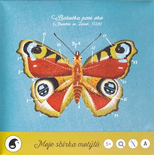 Moje sbírka motýlů - Jitka Musilová,Martin Krbošek